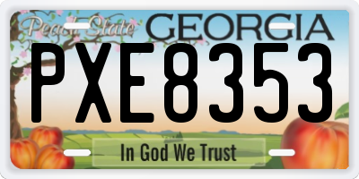 GA license plate PXE8353