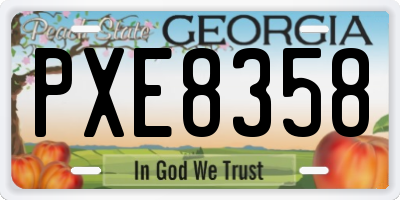GA license plate PXE8358