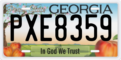 GA license plate PXE8359