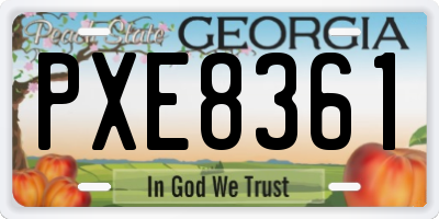 GA license plate PXE8361