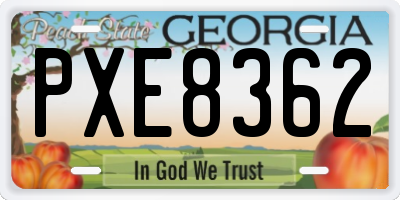 GA license plate PXE8362