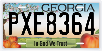 GA license plate PXE8364