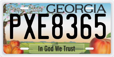 GA license plate PXE8365