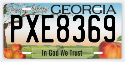 GA license plate PXE8369