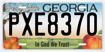 GA license plate PXE8370