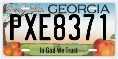 GA license plate PXE8371