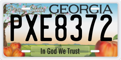 GA license plate PXE8372