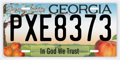 GA license plate PXE8373