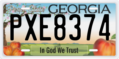 GA license plate PXE8374
