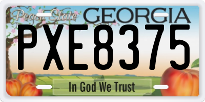 GA license plate PXE8375