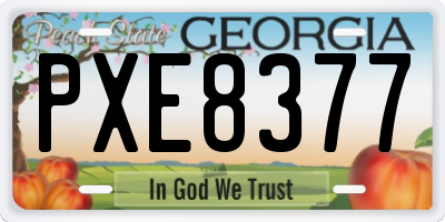 GA license plate PXE8377