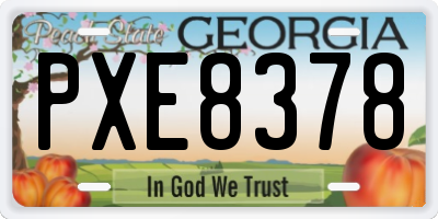 GA license plate PXE8378