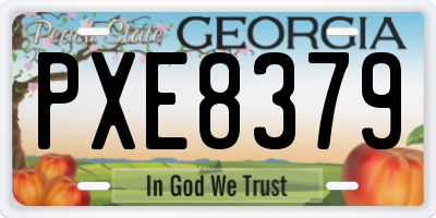 GA license plate PXE8379