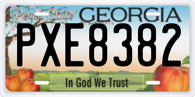 GA license plate PXE8382