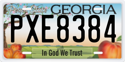 GA license plate PXE8384