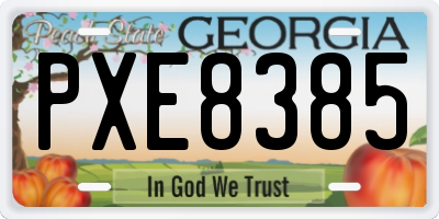 GA license plate PXE8385