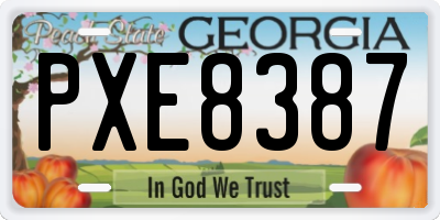 GA license plate PXE8387