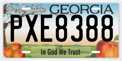 GA license plate PXE8388