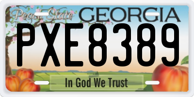 GA license plate PXE8389