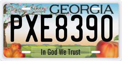 GA license plate PXE8390