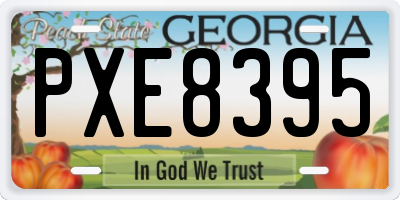 GA license plate PXE8395