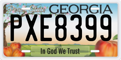 GA license plate PXE8399