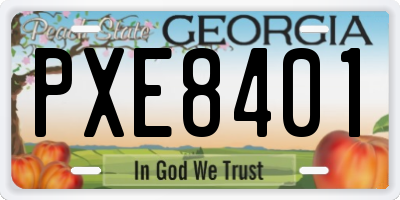 GA license plate PXE8401