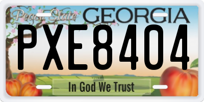 GA license plate PXE8404