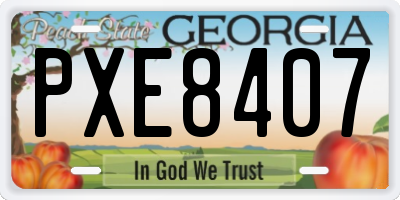 GA license plate PXE8407