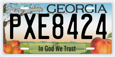 GA license plate PXE8424