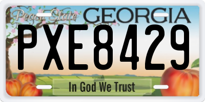 GA license plate PXE8429