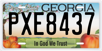 GA license plate PXE8437
