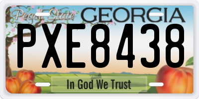 GA license plate PXE8438