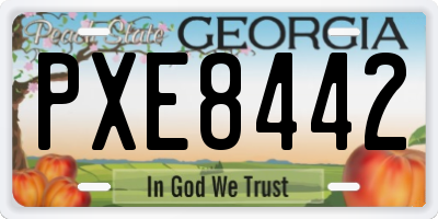 GA license plate PXE8442