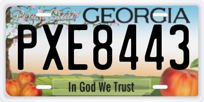 GA license plate PXE8443