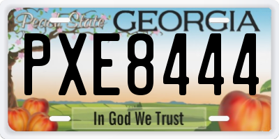 GA license plate PXE8444