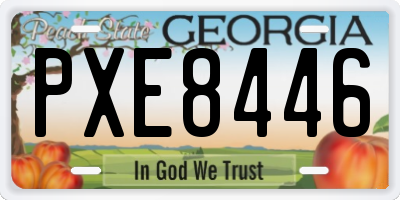 GA license plate PXE8446