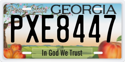 GA license plate PXE8447