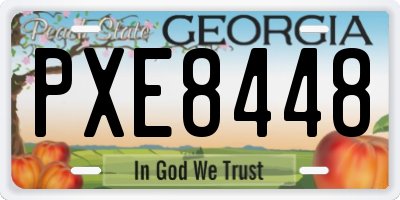 GA license plate PXE8448