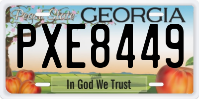 GA license plate PXE8449