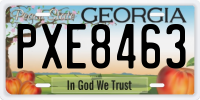 GA license plate PXE8463