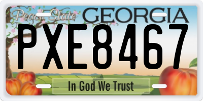 GA license plate PXE8467