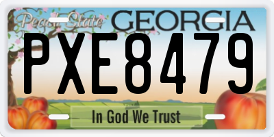 GA license plate PXE8479