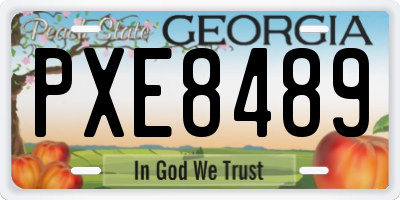 GA license plate PXE8489