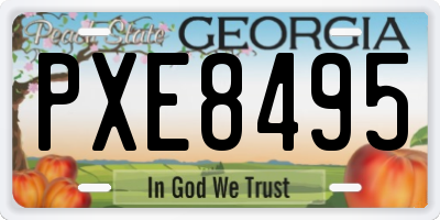 GA license plate PXE8495