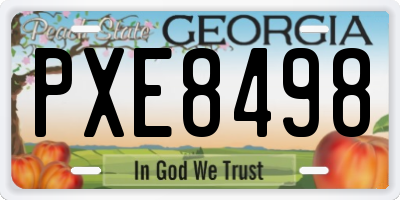 GA license plate PXE8498