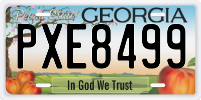 GA license plate PXE8499