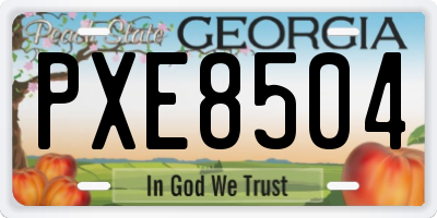 GA license plate PXE8504
