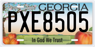 GA license plate PXE8505