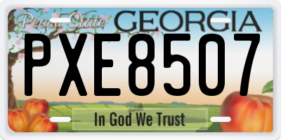 GA license plate PXE8507